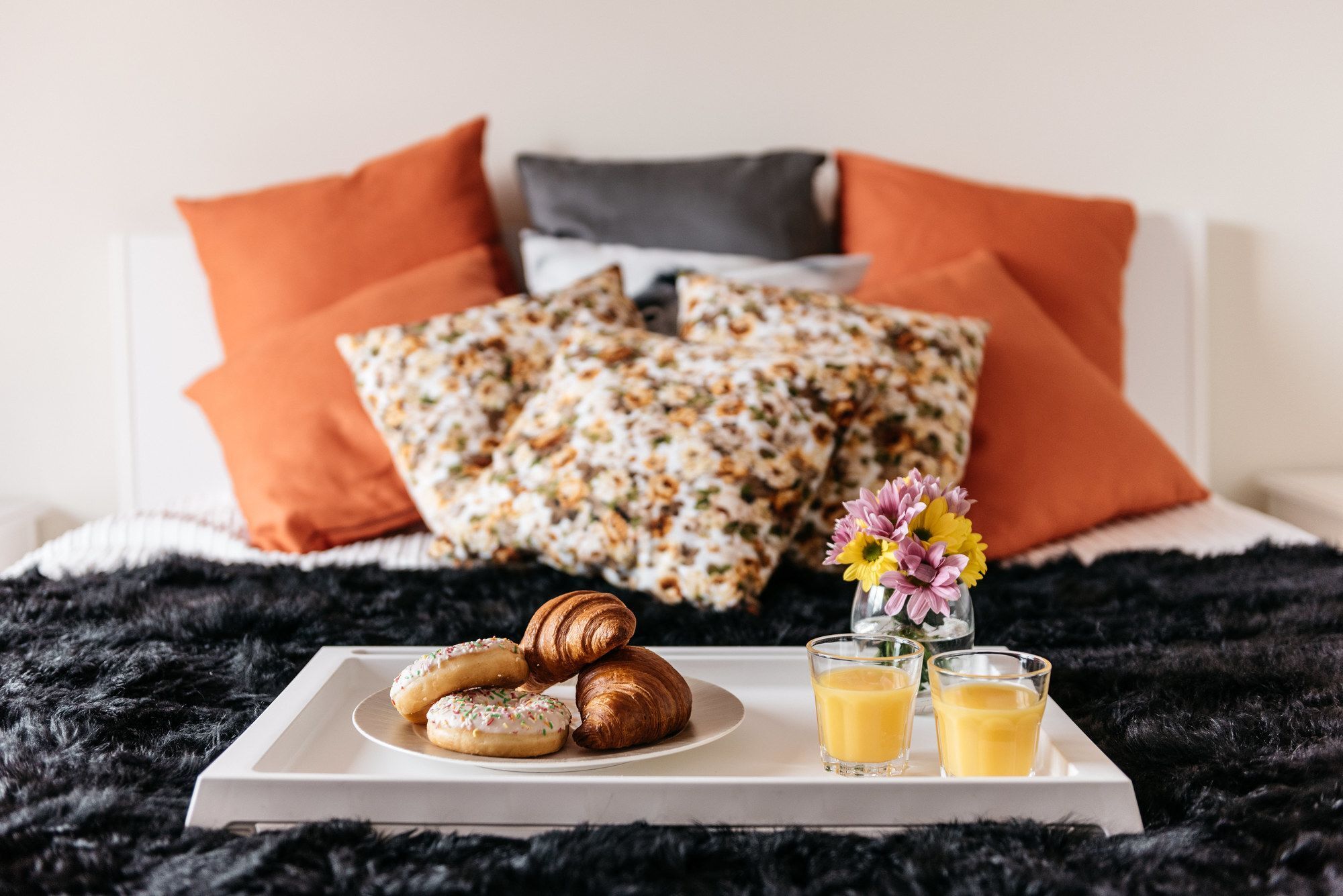 Rakowicka 20B Apartment Novum Krakow Dış mekan fotoğraf